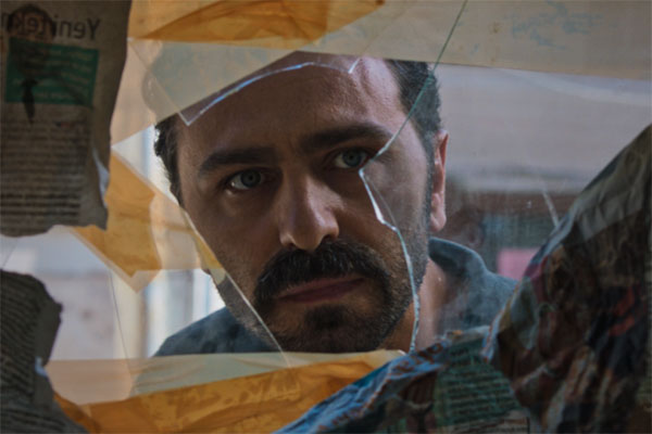 CEVİZ AĞACI